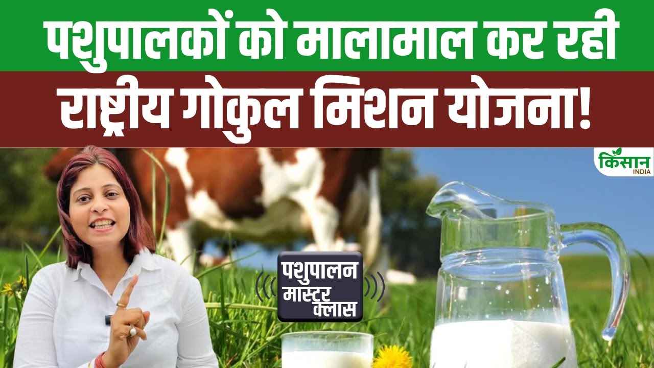 Rashtriya Gokul Mission Yojana ने रचा इतिहास, पशुपालक जल्दी करें आवेदन और कमाएं करोड़ों। Cow Farming