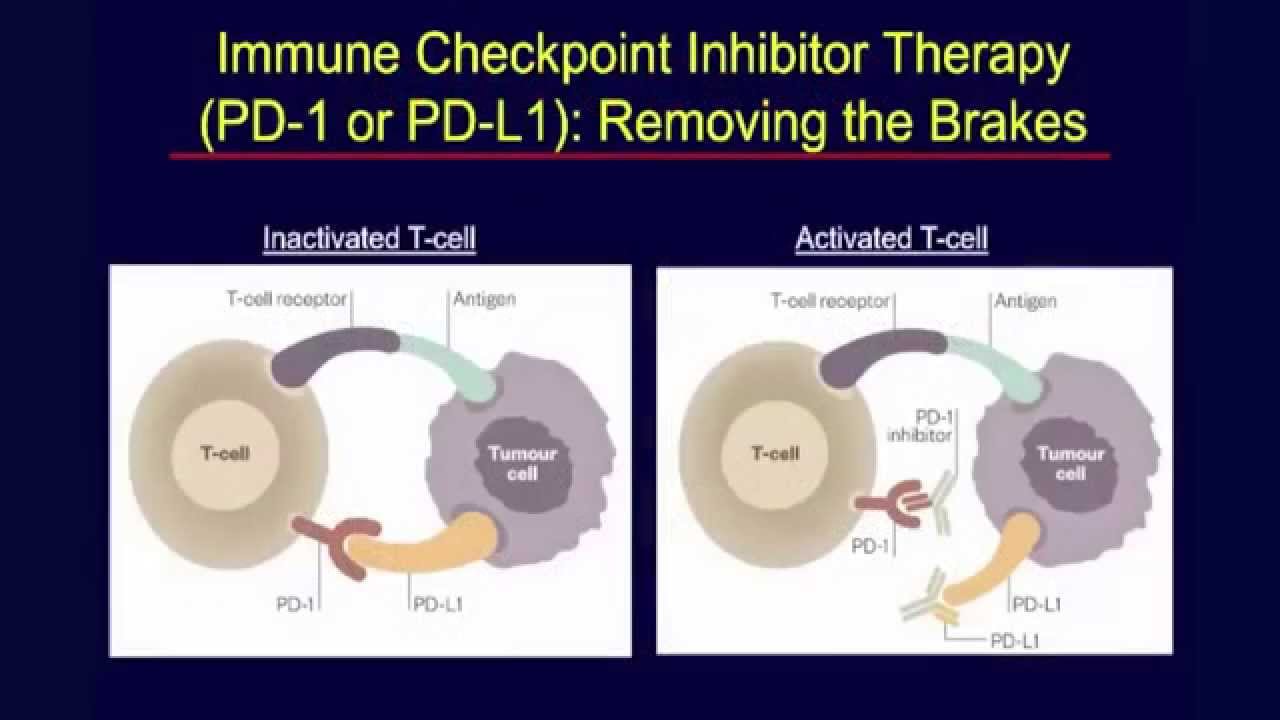 Clinical Trials of Immune Checkpoint Inhibitors as First Line Therapy for Advanced NSCLC