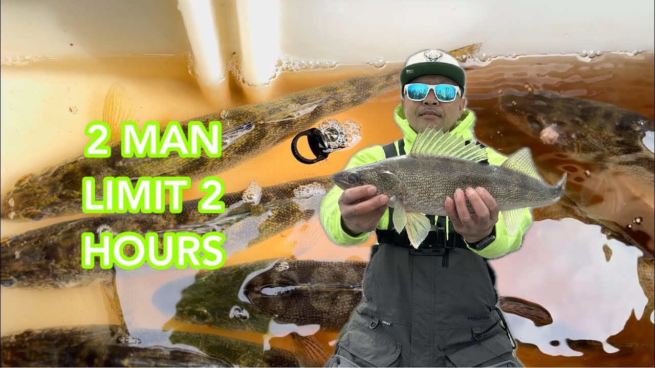 2 Man Limit In 2 Hours | Early Spring Walleyes | New London Wi 