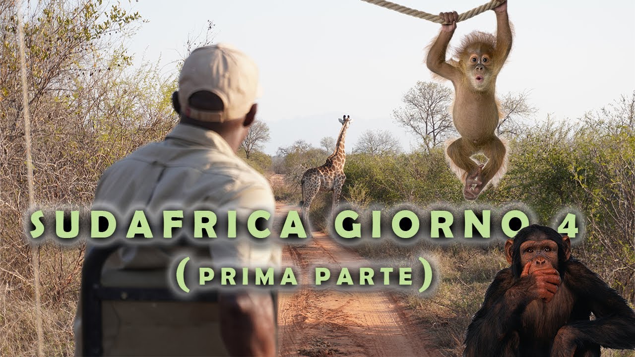 Episodio 36: SUDAFRICA GIORNO 4 - PARTE 1