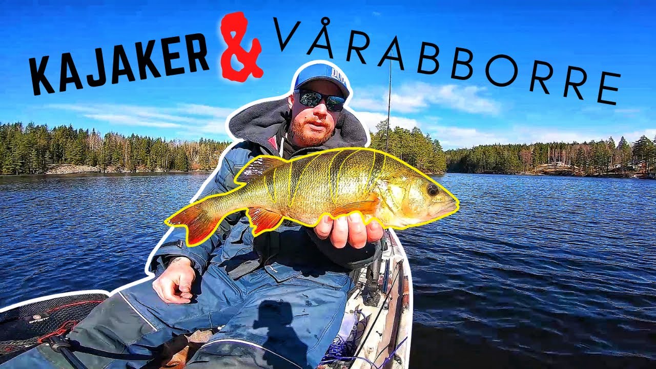 Fiskar efter VÅRABBORRE i 