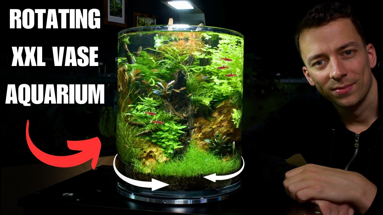 I MADE A GIANT NO FILTER ECOSYSTEM VASE - Step-by-step Aquascape Tutorial