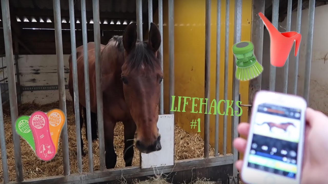 Lifehacks #1 | OurPerfectPonies