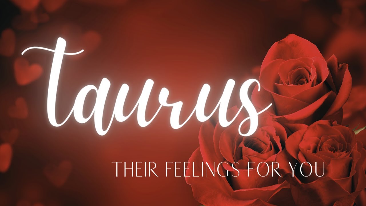 TAURUS LOVE READING TODAY - THEY KNOW THERE IS NO ONE LIKE YOU, TAURUS!!!!
