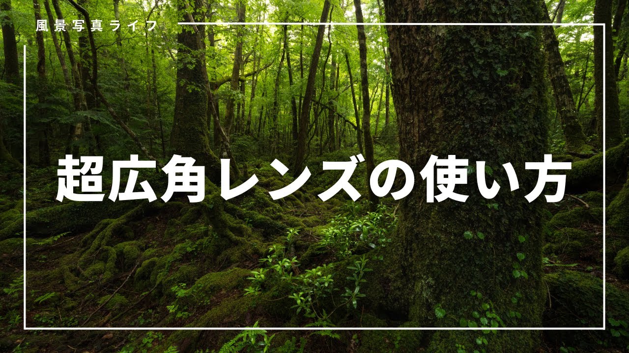 【風景写真】超広角レンズの私の使い方・撮り方8つのポイント【カメラ初心者】