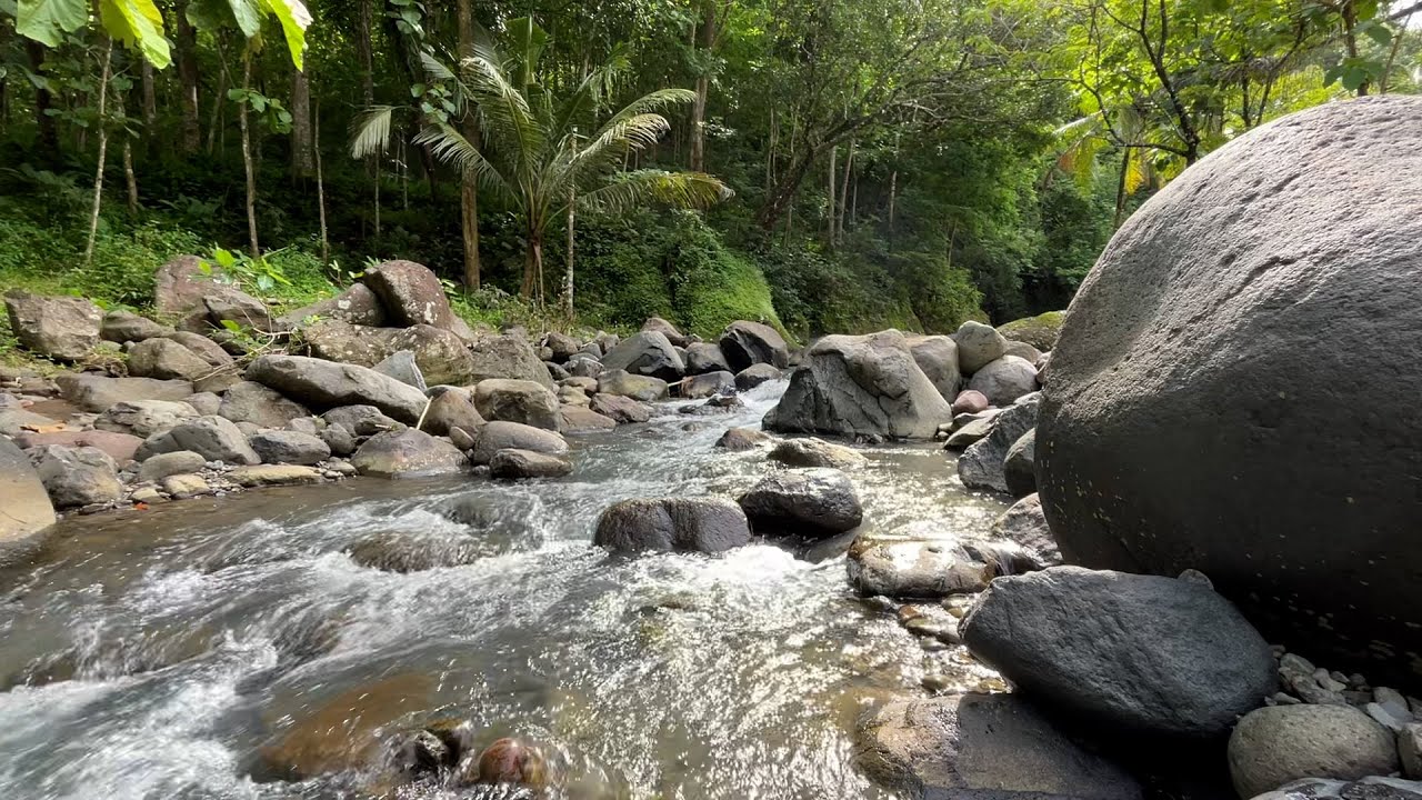 Peaceful River Stream Sounds 🌊 Deep Sleep Aid, Relaxation, Meditation & Anxiety Relief