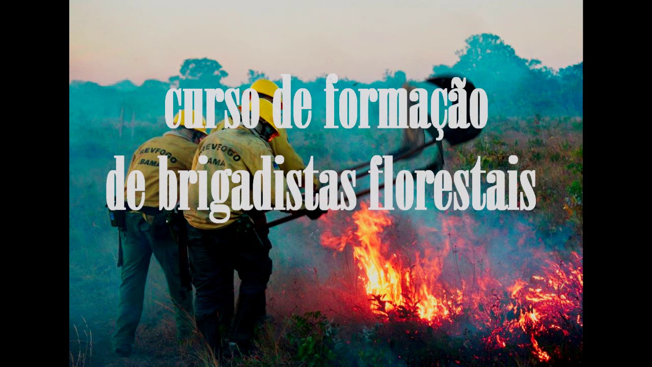 Curso de prevenção e brigadista florestal.