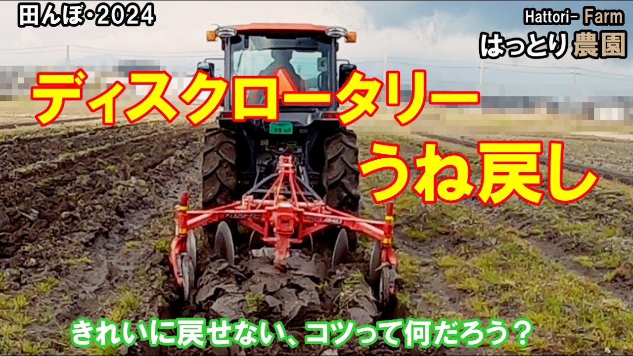 ディスクロータリー　うね戻し作業　田んぼ・2024 20240320　クボタトラクターFT25　ニプロ・ディスクロータリーJB-403