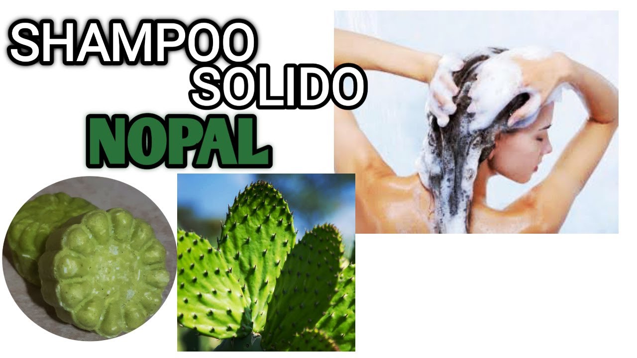 Como hacer un SHAMPOO SOLIDO DE ‟ NOPAL ” 🌵🍃 | Para cabello normal /seco!