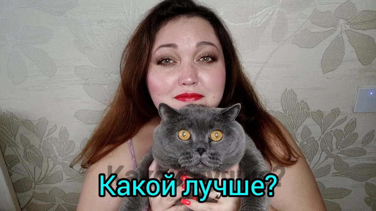 Сравниваю The Queen of Sheba Attar Collection, Wild Python Mancera, KILIAN Good Girl Gone Bad!