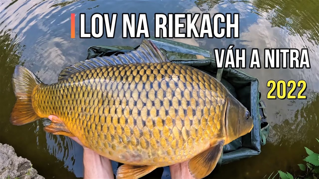 Lov rýb na rieke Váh a Nitra na Pelety a Boilies 2022 🤗 Rybárske Videá s Demexom 🐋 Sportcarp