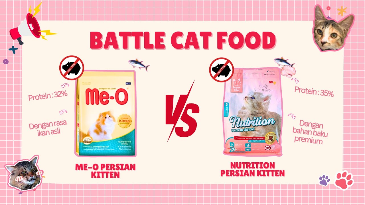 BATTLE CAT FOOD ME-O PERSIAN KITTEN VS NUTRITION PERSIAN KITTEN! Bagus mana ya?  | Radiokucing #189