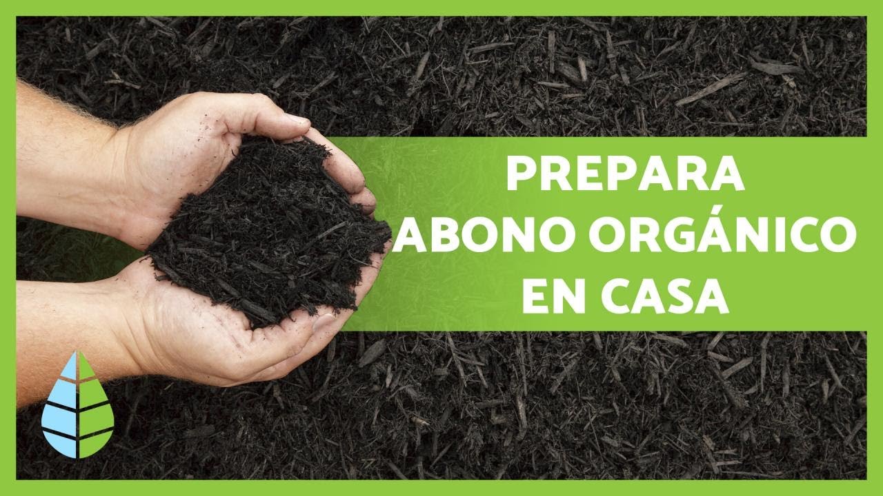 C&oacute;mo hacer ABONO ORG&Aacute;NICO CASERO paso a paso🌱 + Mejores fertilizantes caseros 🍌