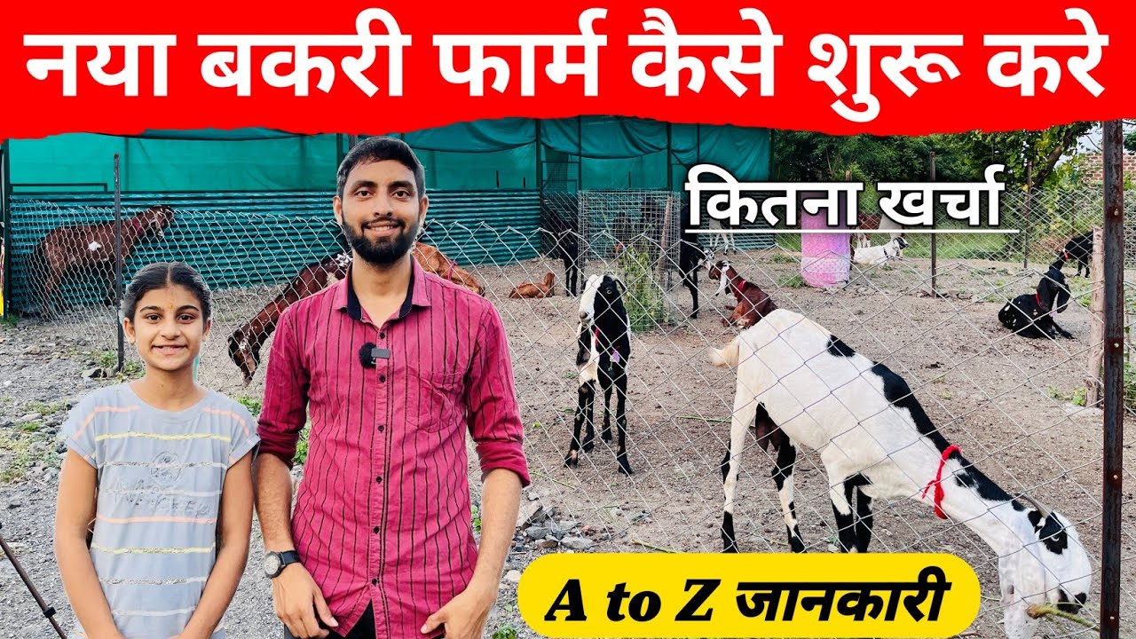 नया बकरी फार्म कैसे शुरू करे पूरी जानकारी | How to start new goat farm full information