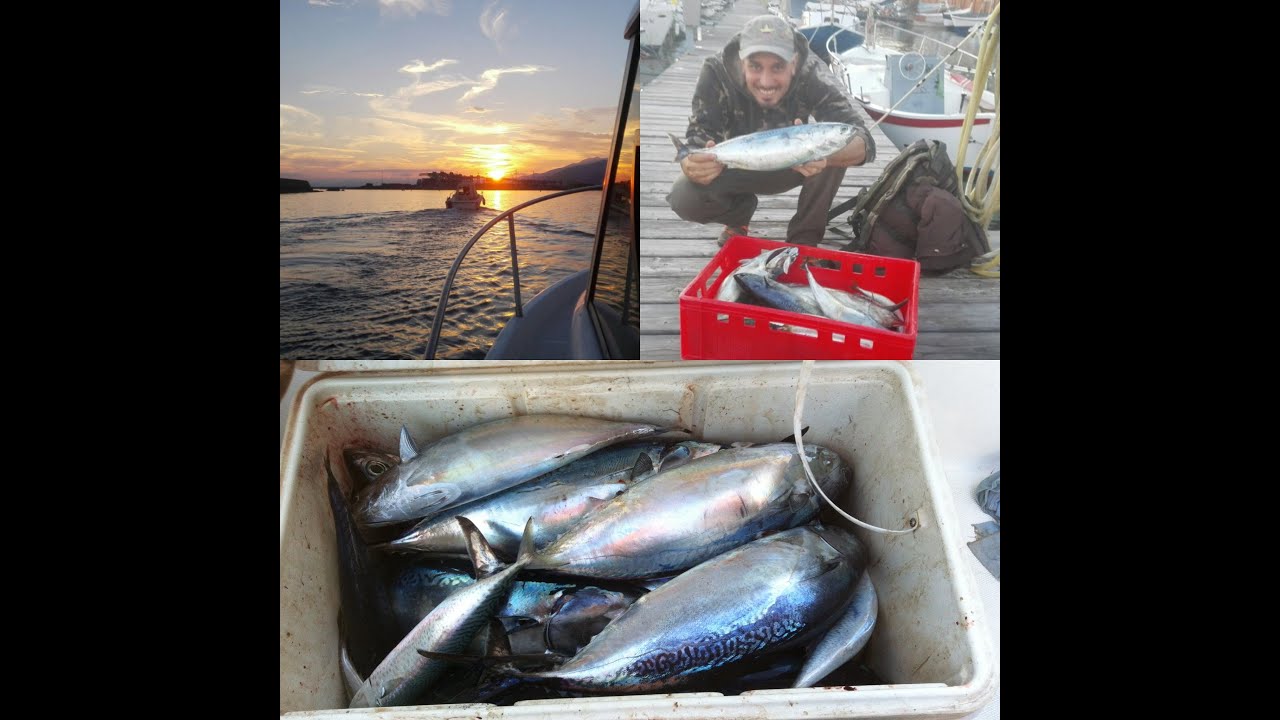 Pesca sulle mangianze a Genova!