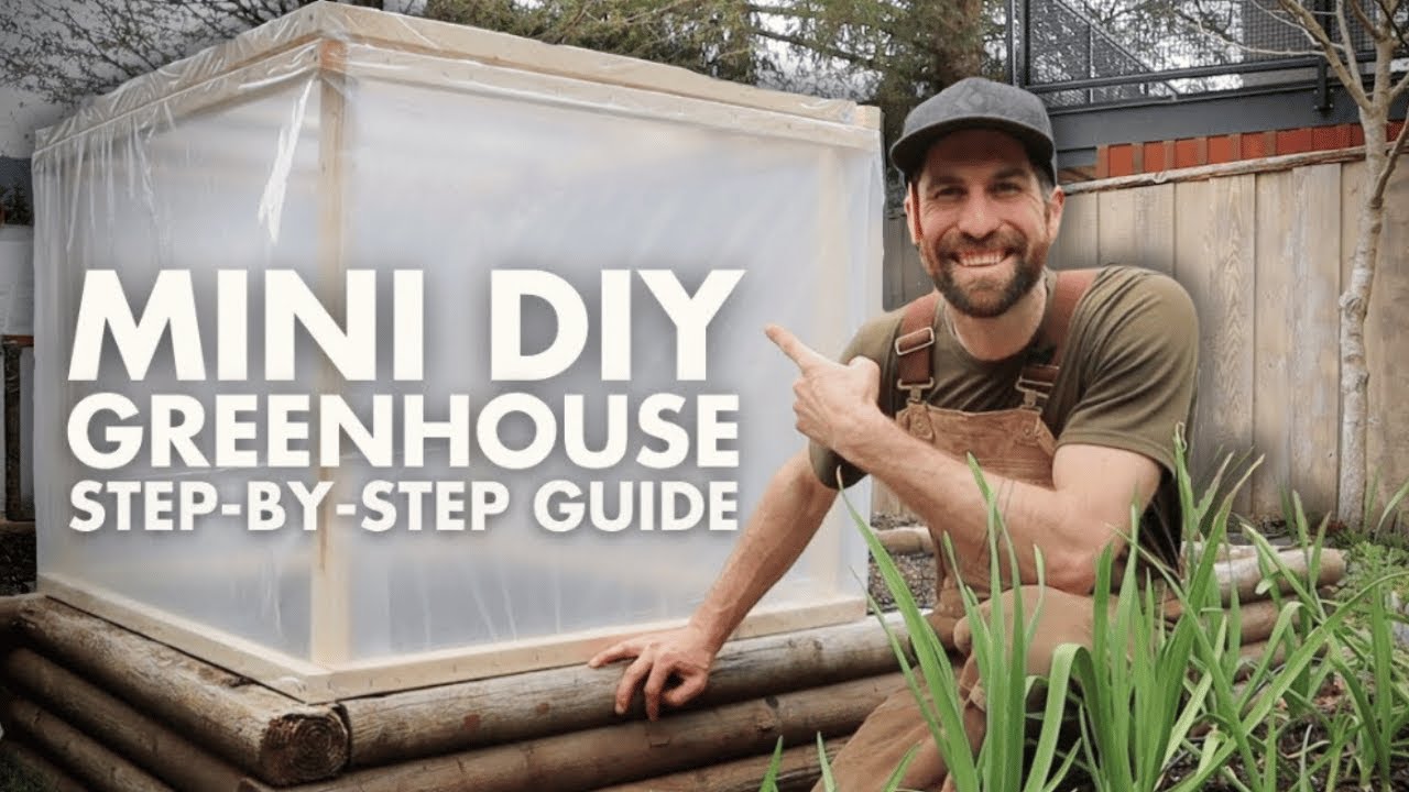 How to build a Mini DIY Greenhouse for THRIVING Transplants