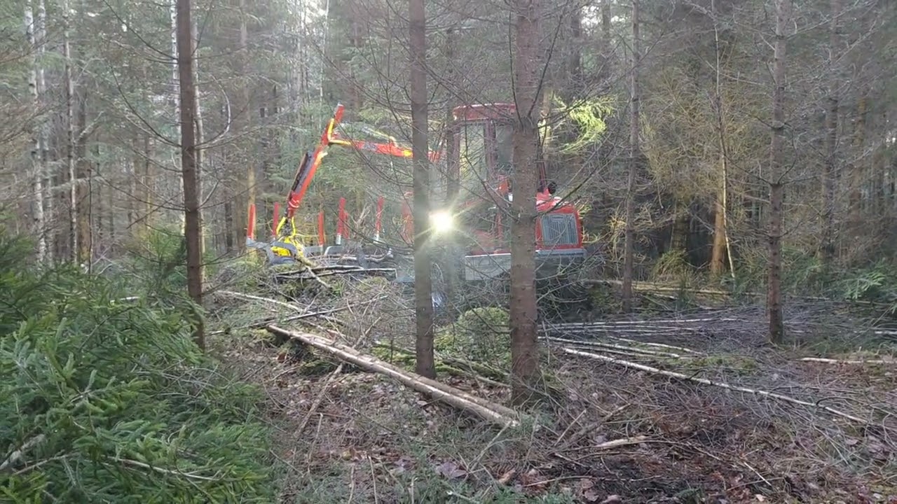 Kranman 960 i manuell gallringshuggning