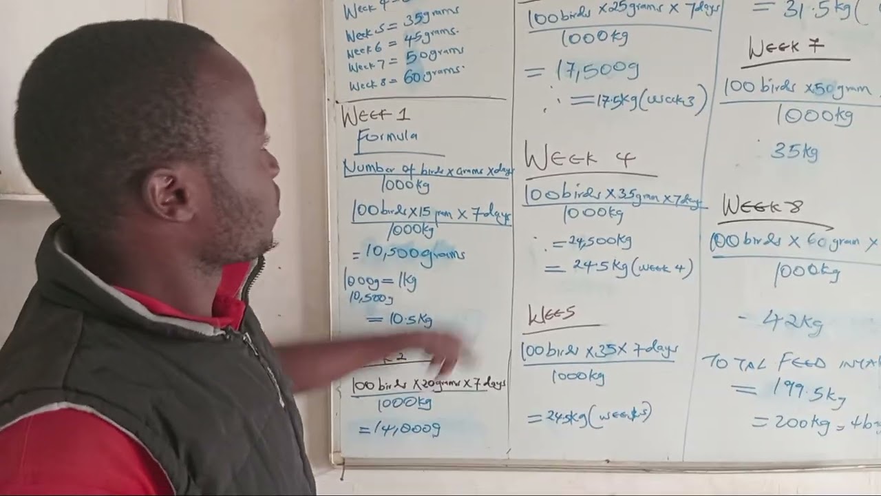 Step by step on  how to calculate   Poultry feeding program for 100 birds  from 0 - 8 weeks 