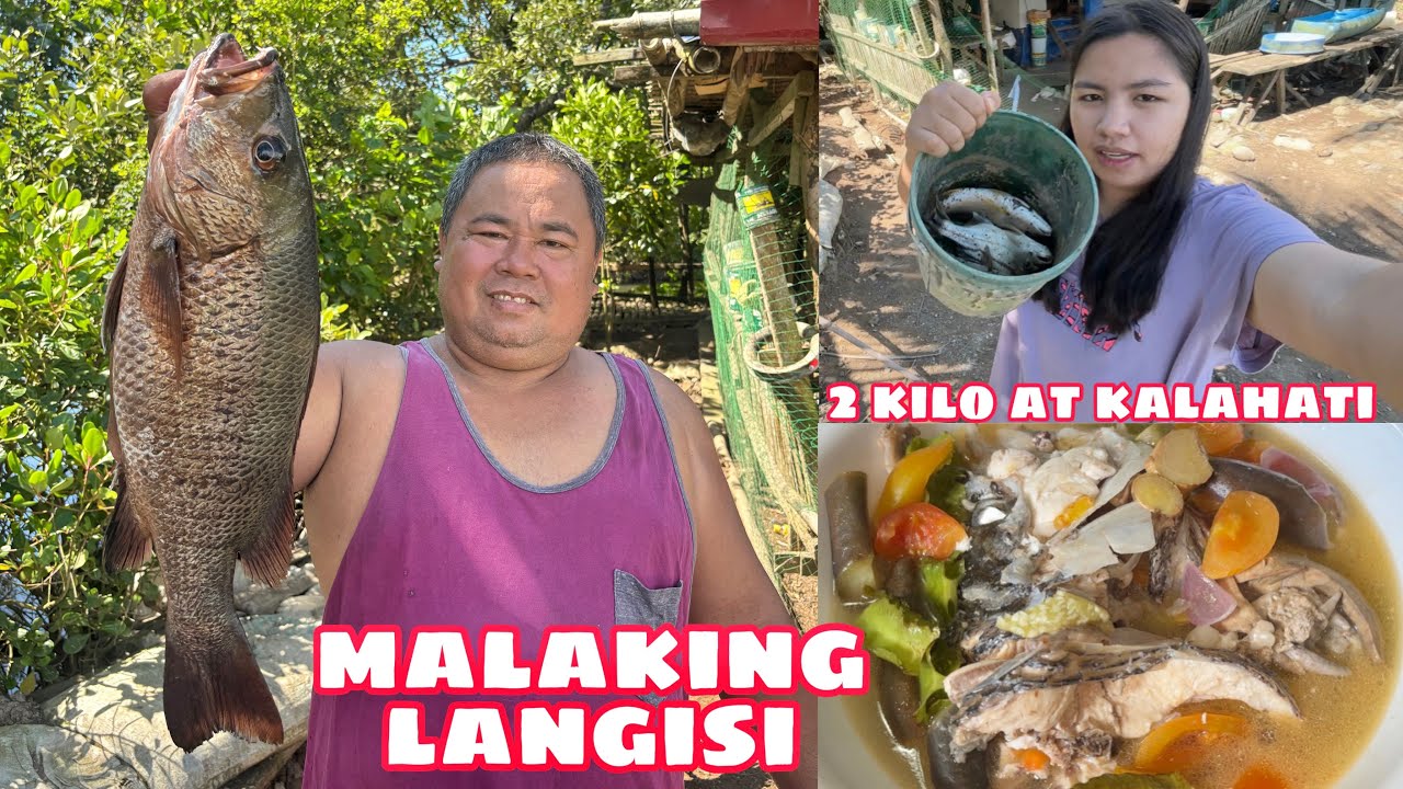 GRABE MALAKING LANGISI ANG NAHULI NI PAPA | 2 KILO AT KALAHATI😲 | CATCH & COOK 