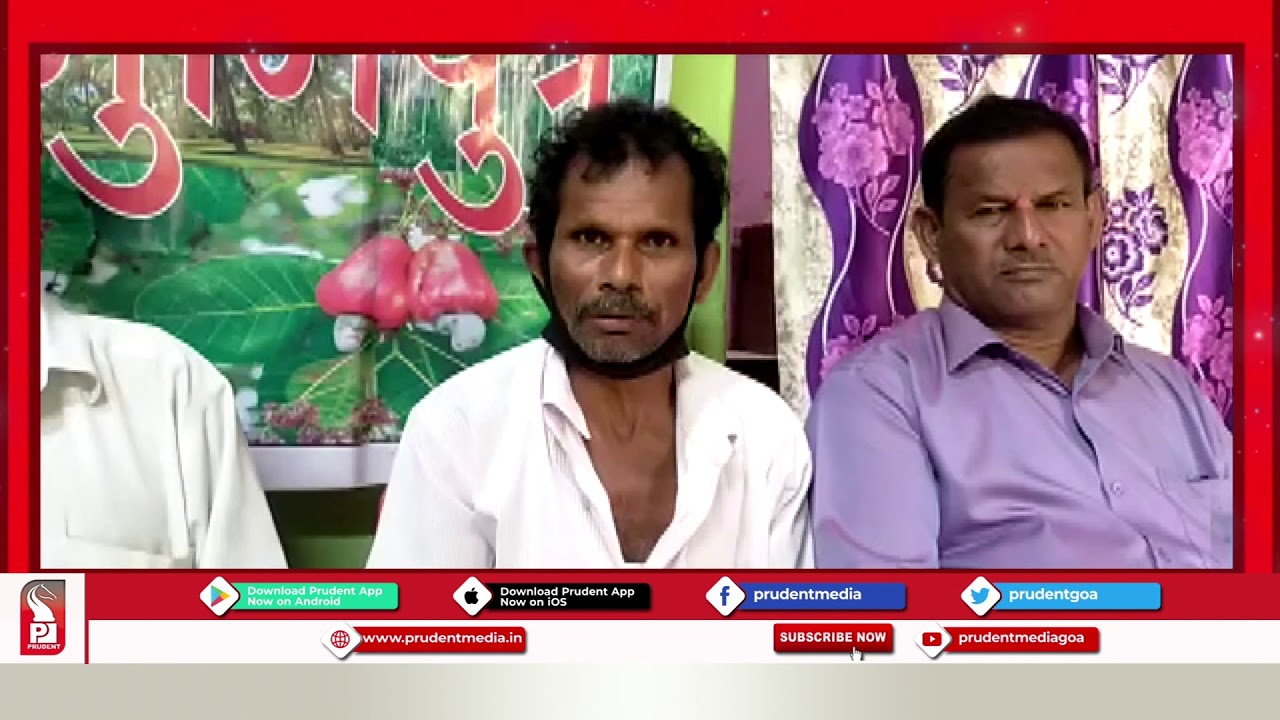 TREES ILLEGALLY CUT AT SATTARI; GOVT SHOULD TAKE LEGAL ACTION AGAINST ACCUSED: SATTARI BHUMIPUTRA