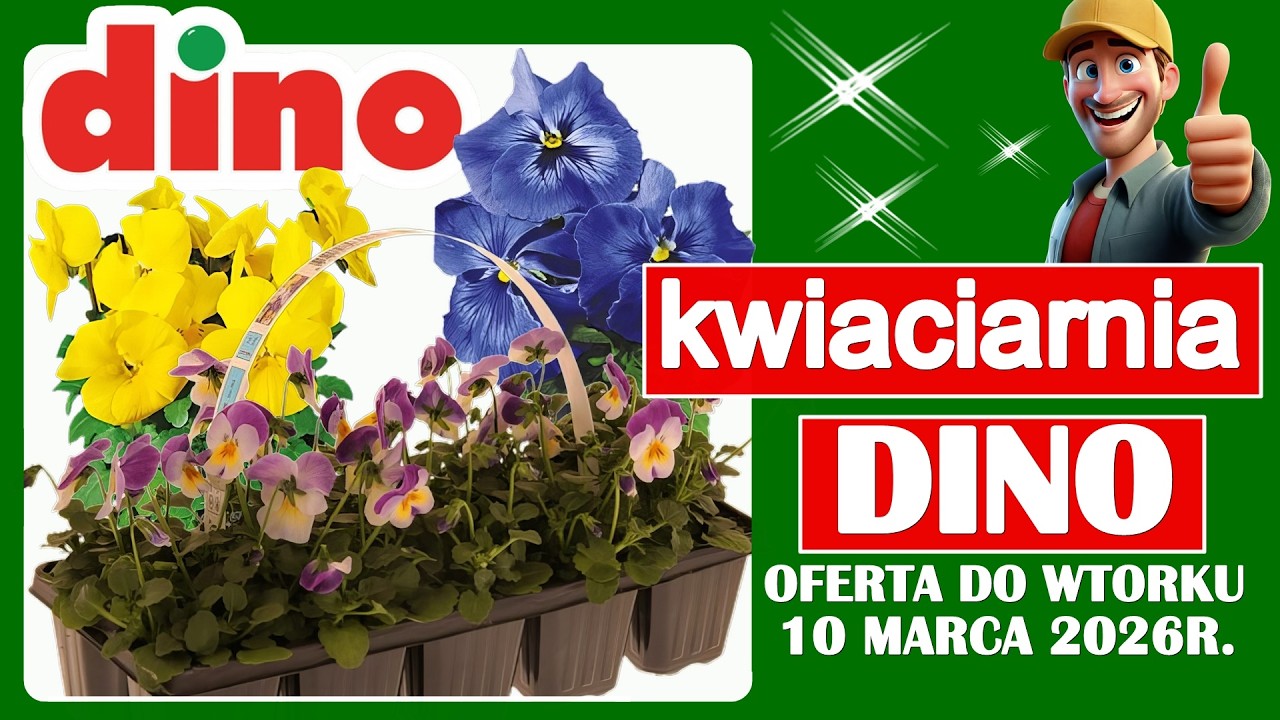 DINO MARKET | Nowa Oferta do Wtorku 10.03.2026 | Tanie Kwiaty w Dino