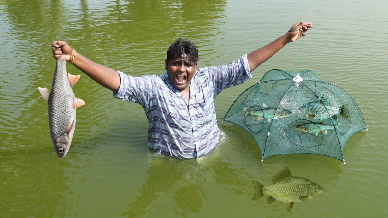 Fish Trap வச்சு மீன் பிடிக்கலாம்|Fish Catching with Amazing Fish Trap|Village Hunt|VillageFoodSafari
