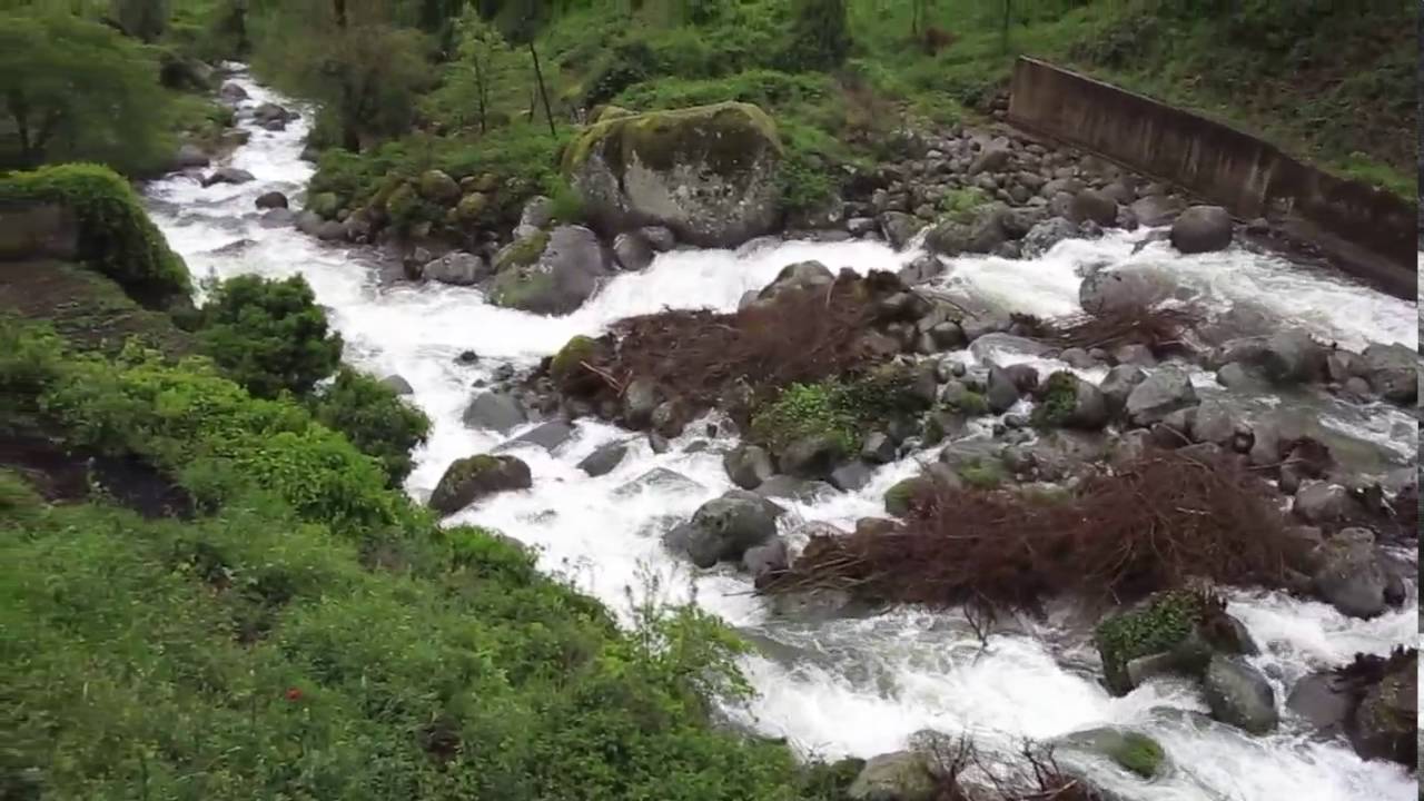 JOYANCO - Rio Pelayo - Guisando mayo 2016