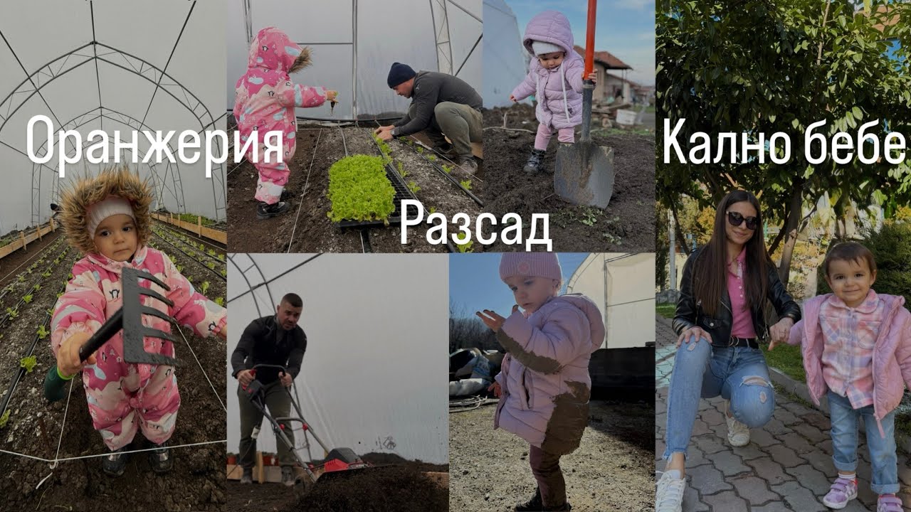 Живот на село: Разсаждане на растения в оранжерия, избор на нови ботушки, месим питка, кално бебе..