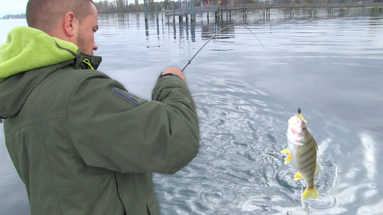 Pecanje bandara na Bodenskom jezeru u Švajcarskoj - Vertikalno pecanje | Bandarfischen am Bodensee