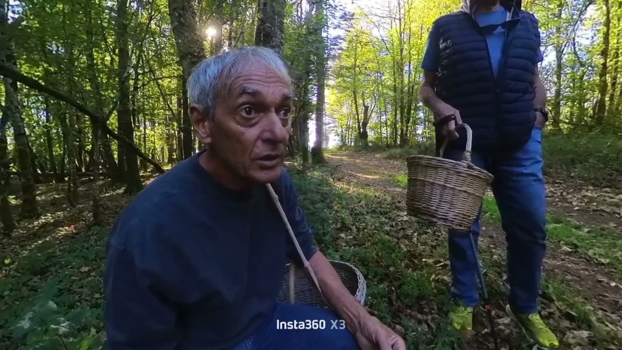 Passion mycologique 😍