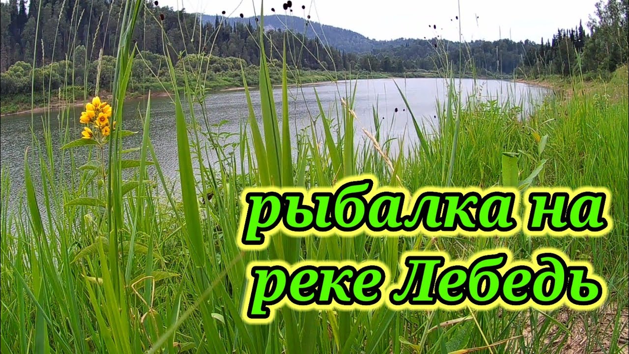 Рыбалка на реке Лебедь на спиннинг 👆