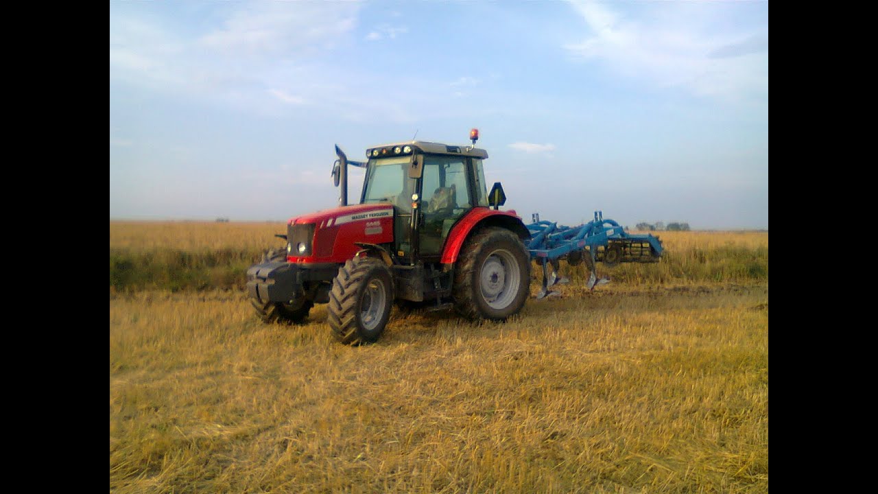Gruberowanie 2014 | Massey Ferguson 5445 | Mandam