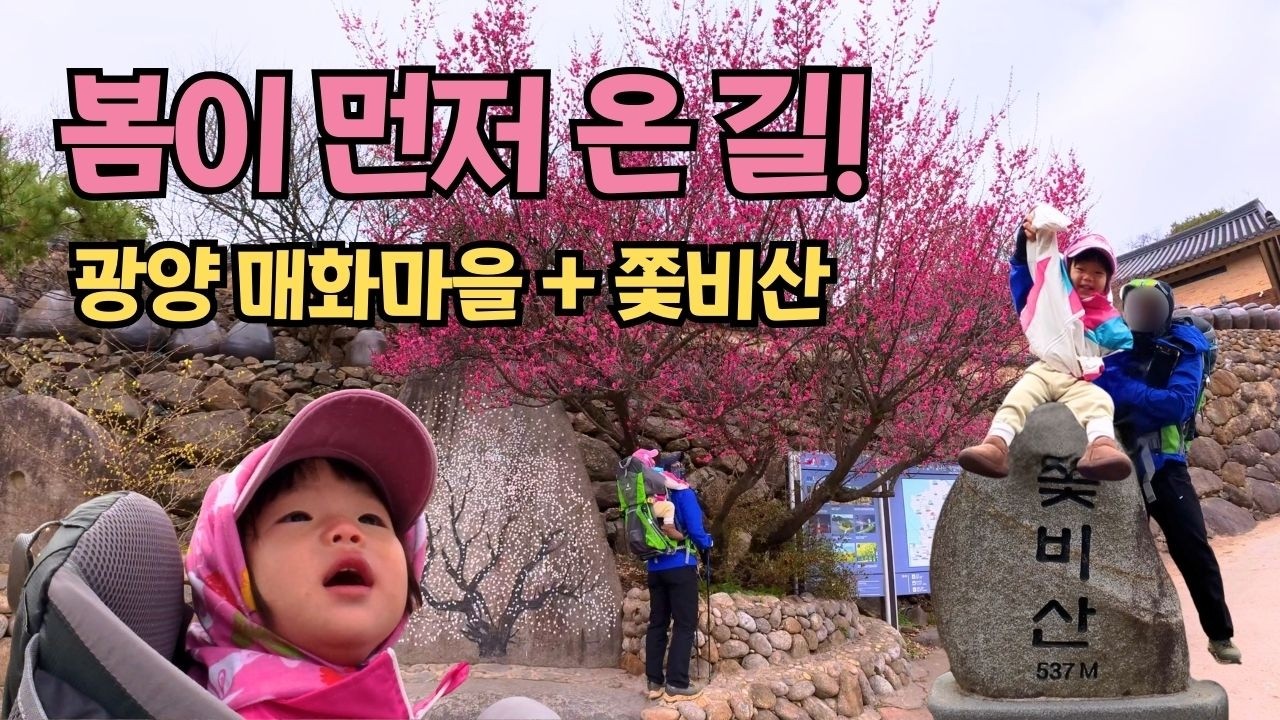 광양 매화마을, 봄이 시작되는 길｜쫓비산