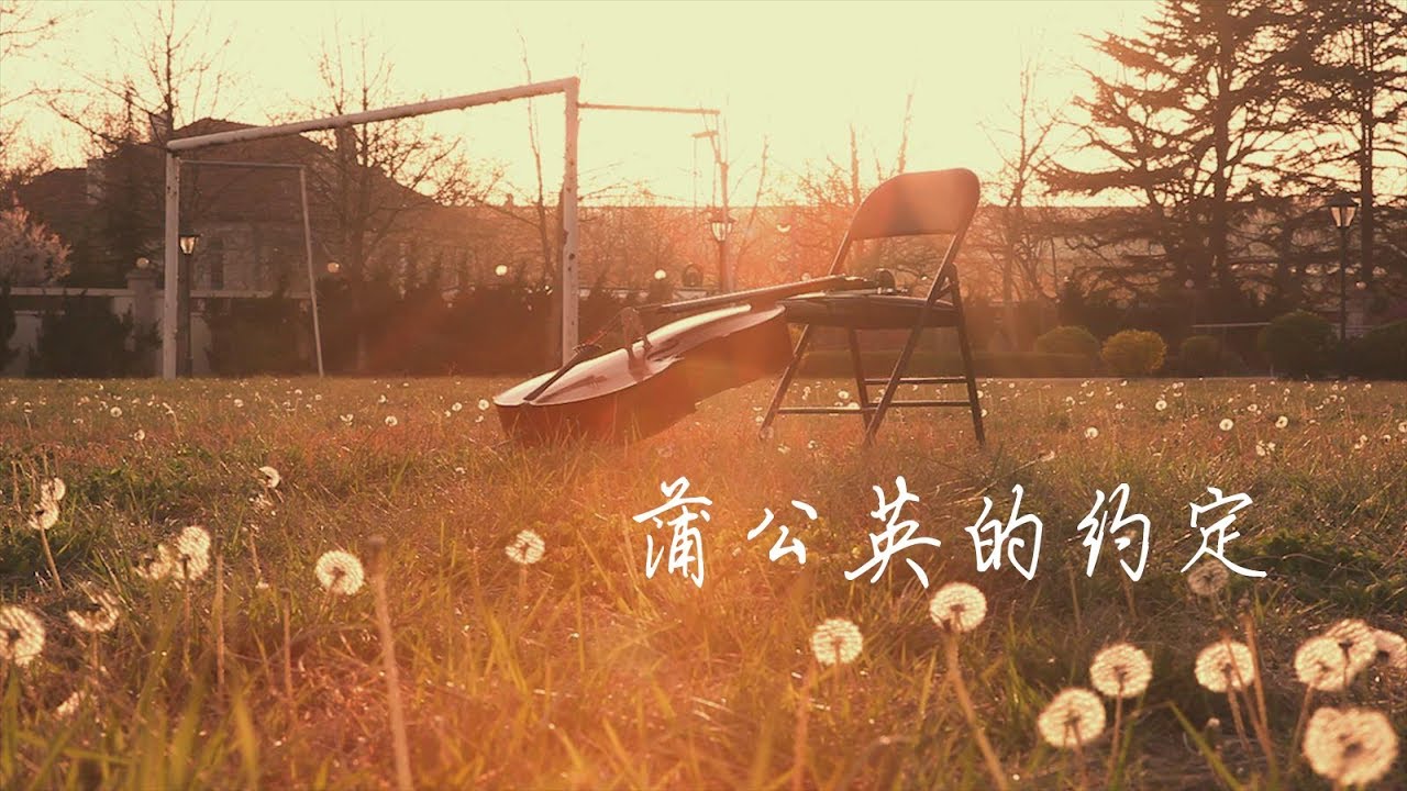 Dandelion's Promise | Jay Chou  | 蒲公英的约定 | Cello Cover