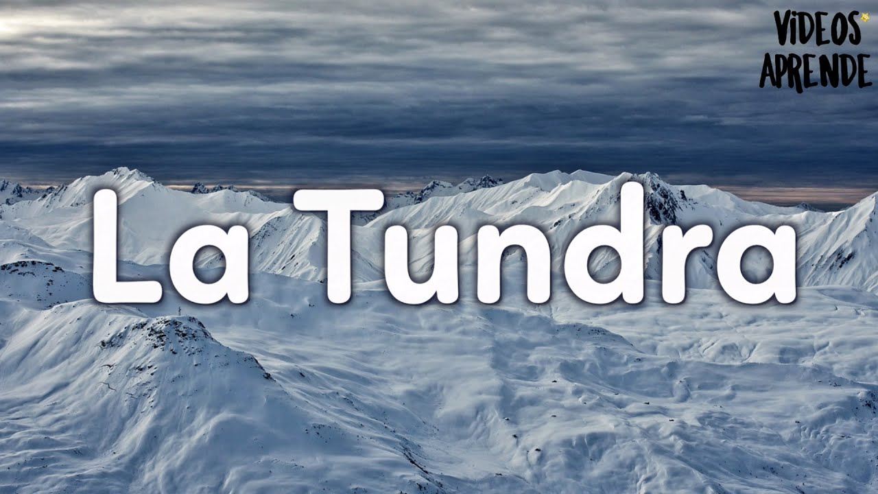 La Tundra - Videos Aprende