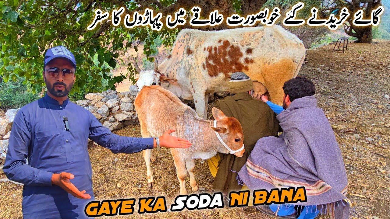 Gaye Leny Gaye Soda Ni Bana Village Life Daily Routine MB Vlogs 