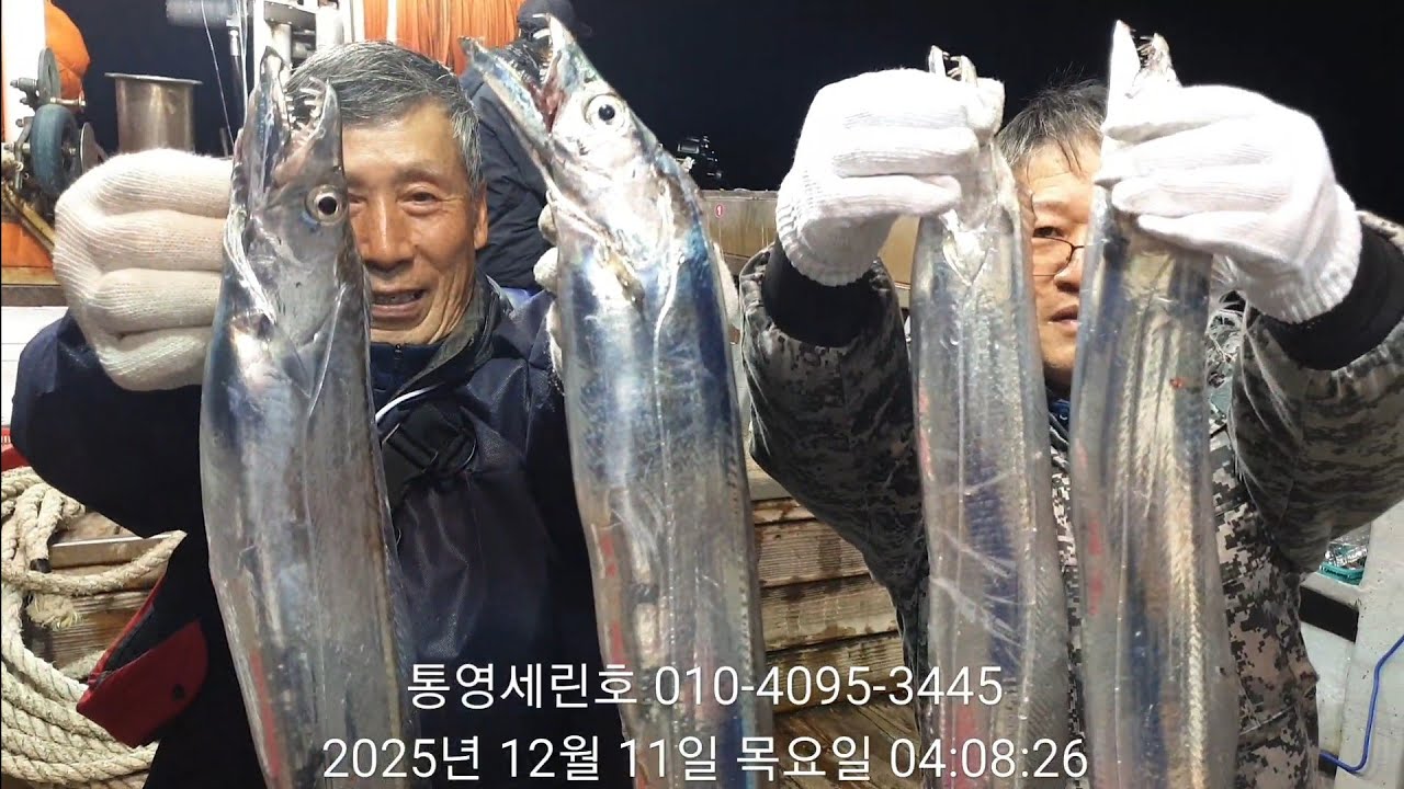 통영세린호 12/11일 대갈치 아직 끝나지 안았다