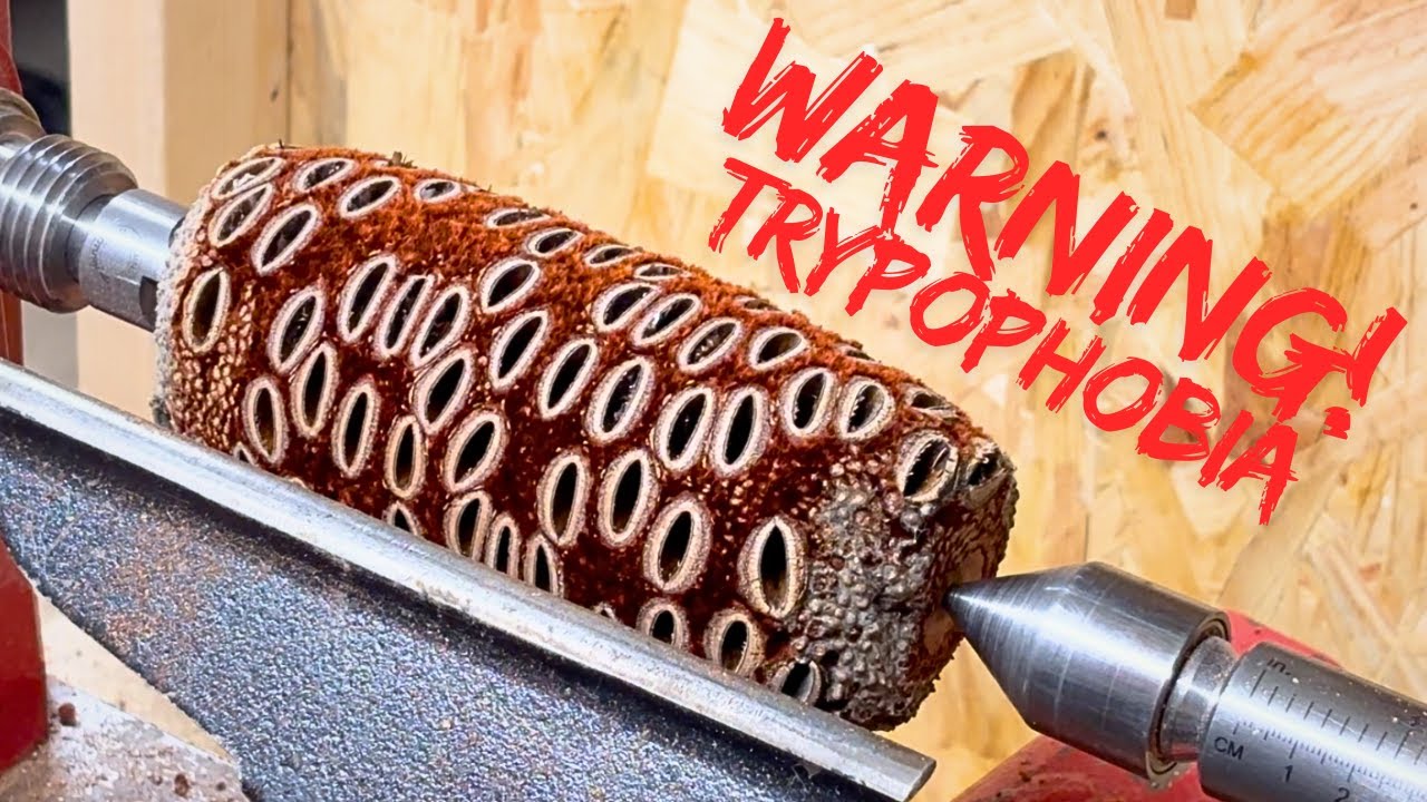 Woodturning - Trypophobia Warning / Banksia Aroma Pod