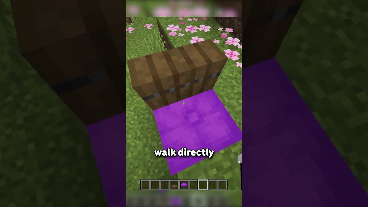 THEY ADDED SITTING TO MINECRAFT...
