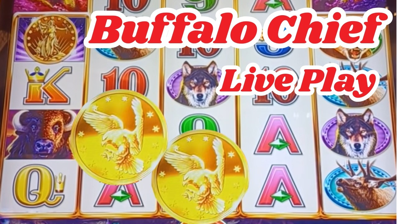 Buffalo Chief Live Play