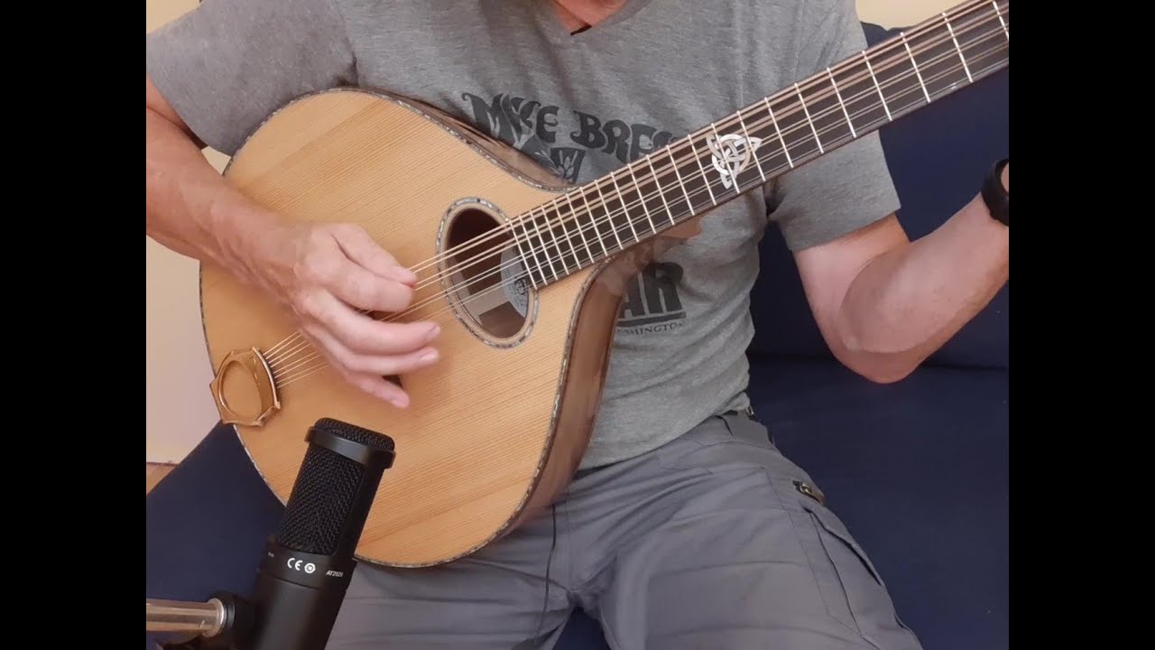 Nyberg Blackheart Sassafras Cittern