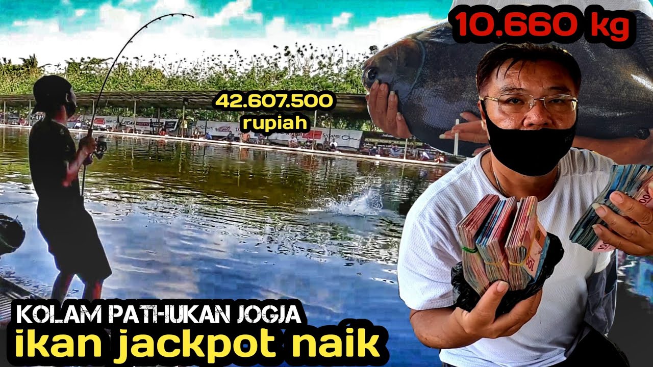 JACKPOT 42JUTA NAIK PREN!!! GALATAMA MASTER BAWAL PATHUKAN UMPAN RERESPO