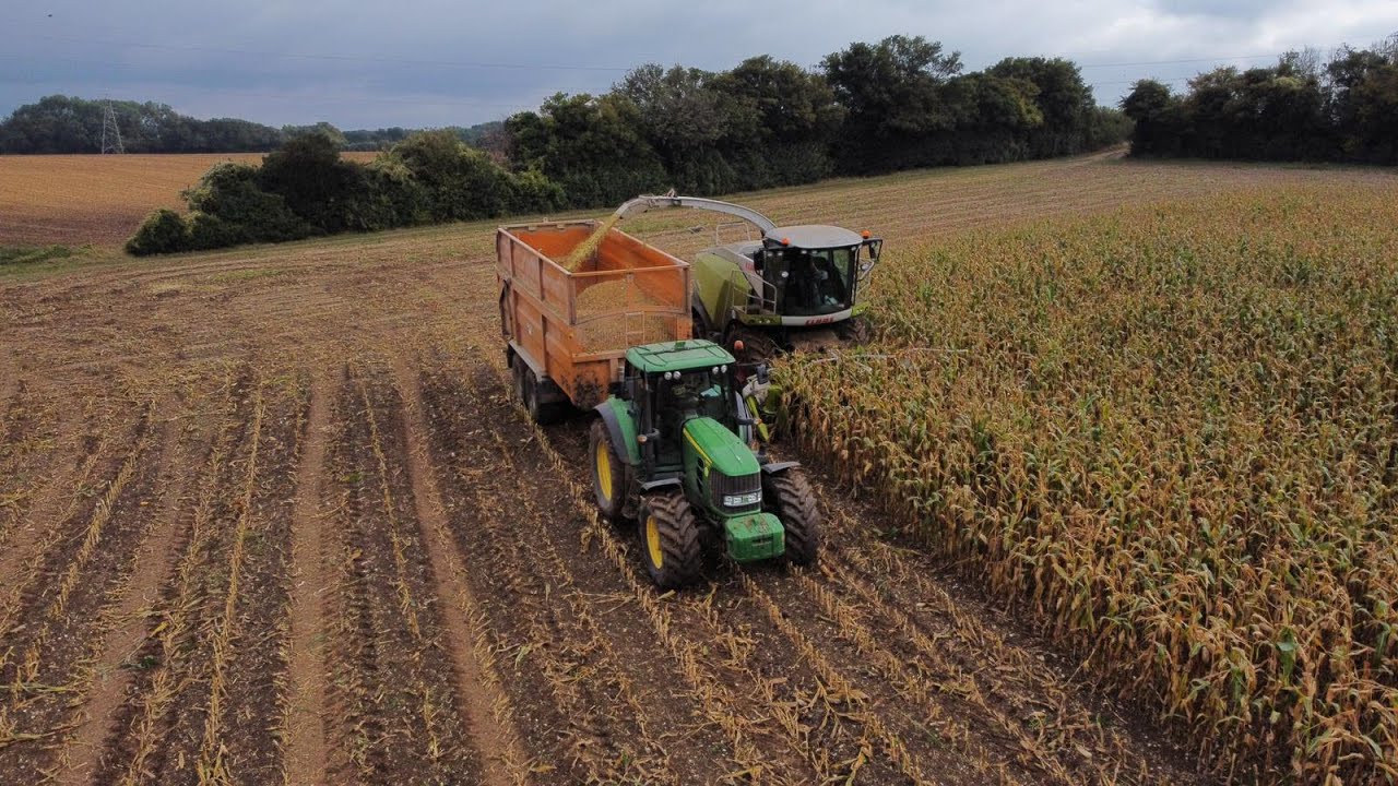 Claas Jaguar 840 Chopping Maize