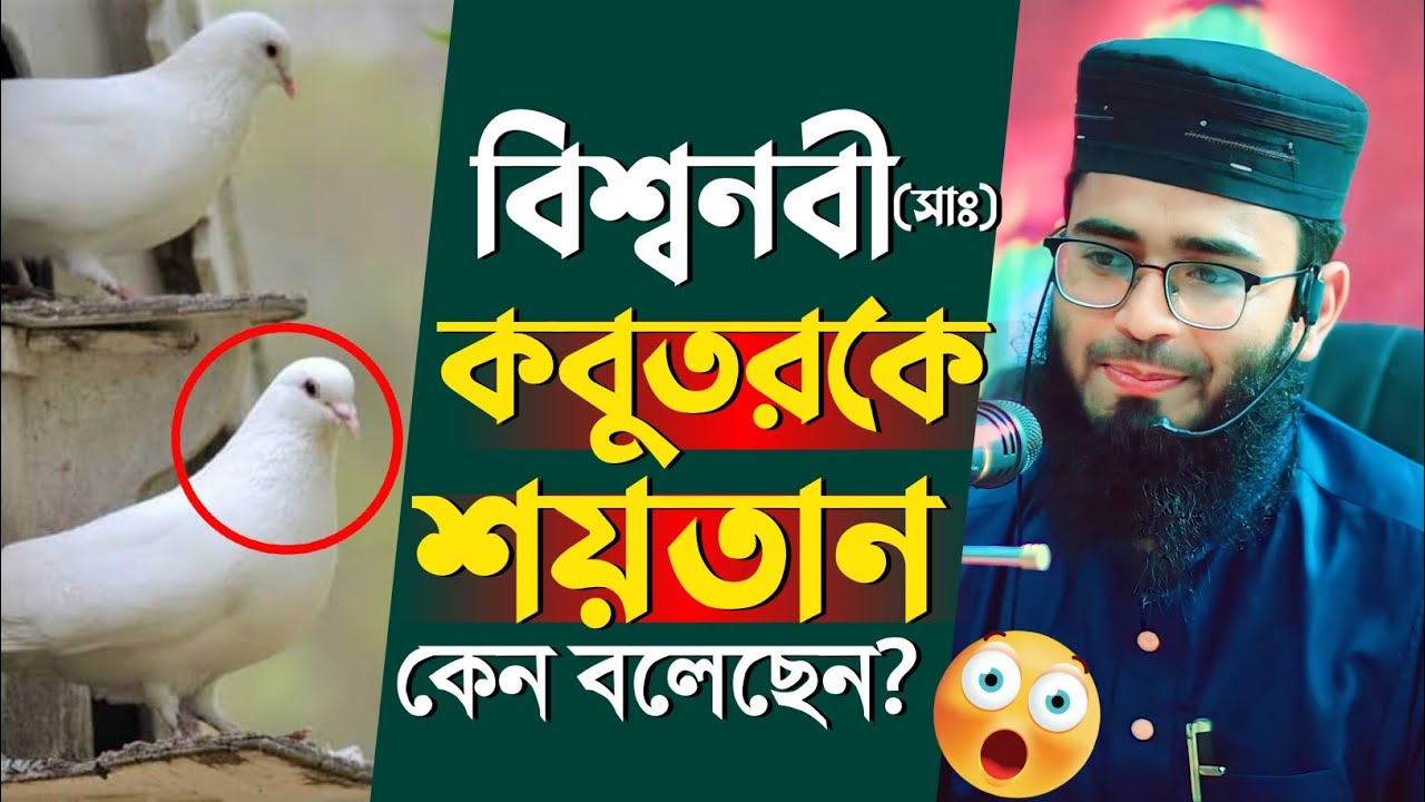 কবুতরকে শয়তান বলেছেন বিশ্বনবী কিন্তু কেন?  Abrarul Haque Asif