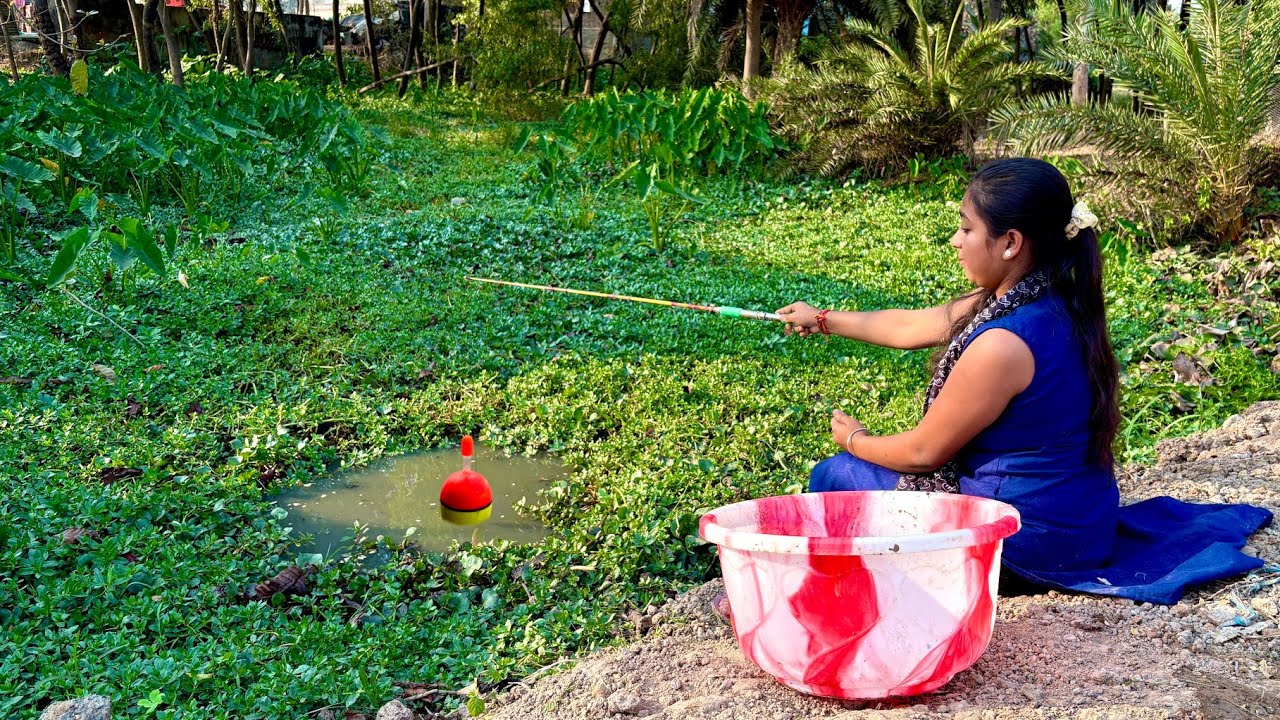 Fishing Video || Look how the sweet girl caught a lot of fish in a short time from the field canal