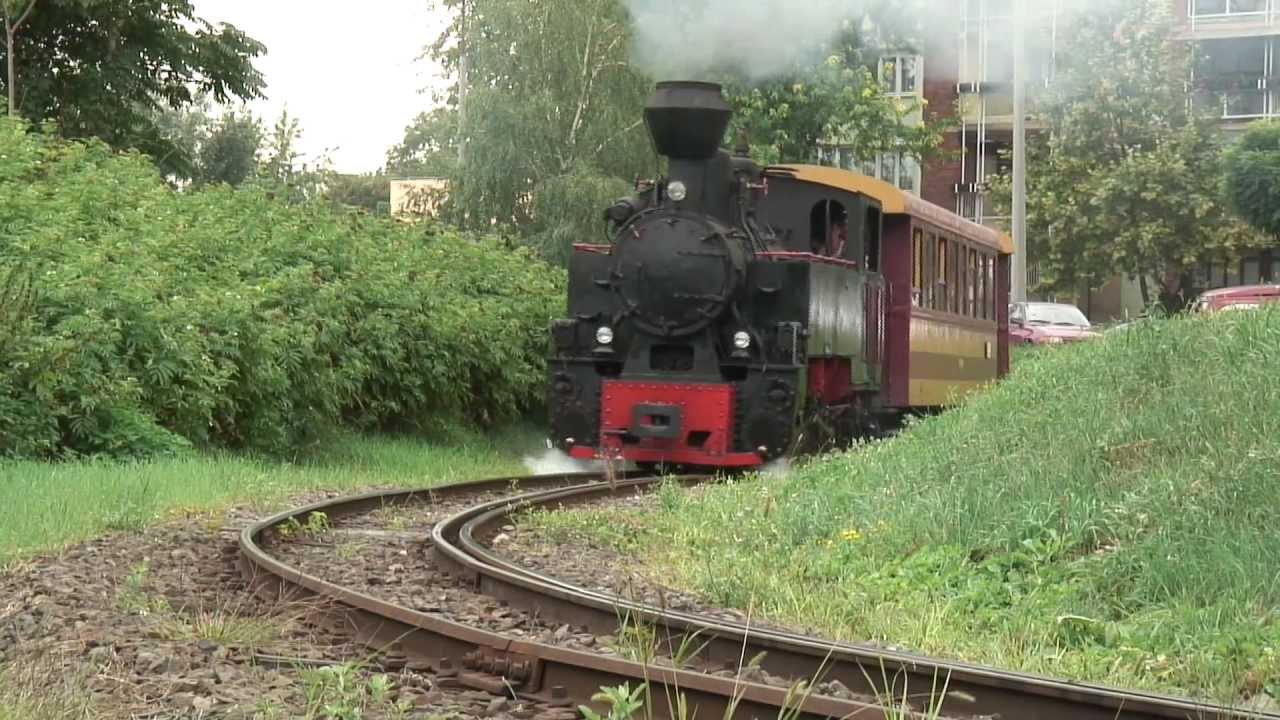 próbamenet gyöngyössolymosra