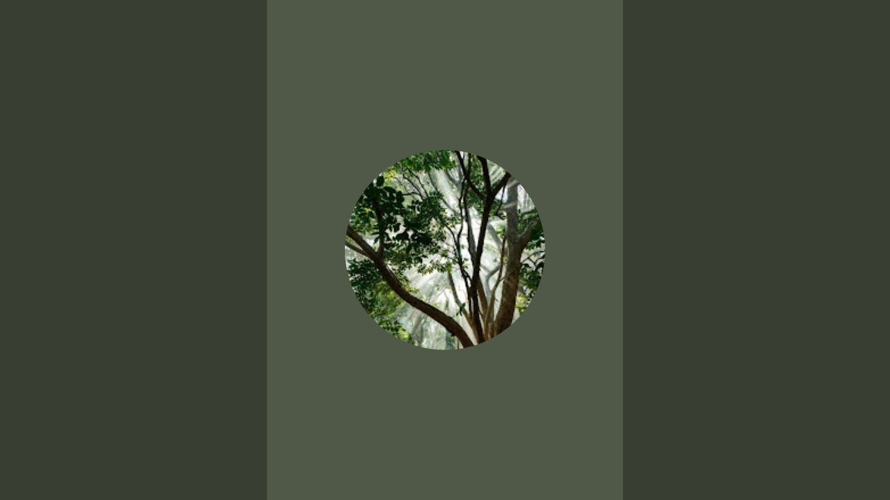 Real Wood Cutting is live