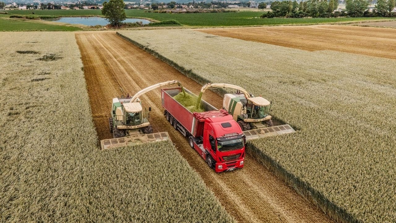 2X krone BIG X 800 | 4X John Deere con rimorchi | Trinciatura Triticale Di Giacomo