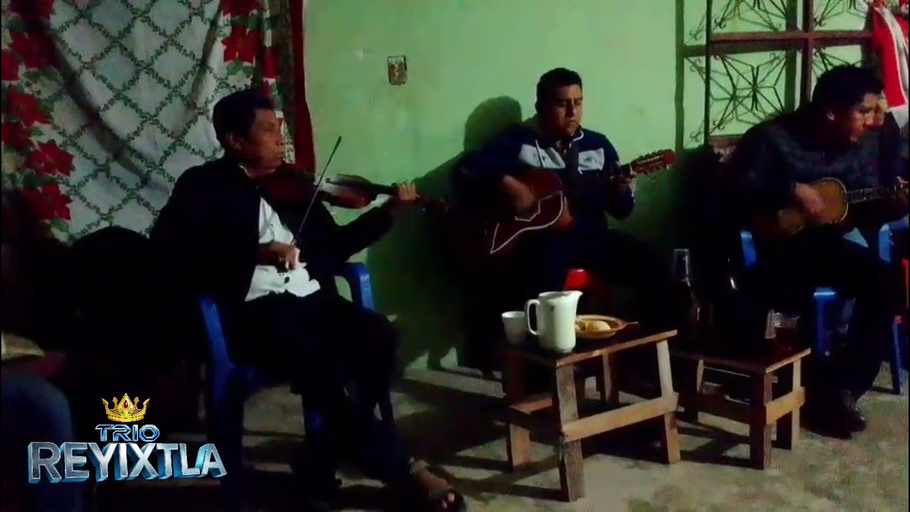 El Hijo del Costaludo/ 🎻 Trio Reyixtla de Porfirio Hernández 