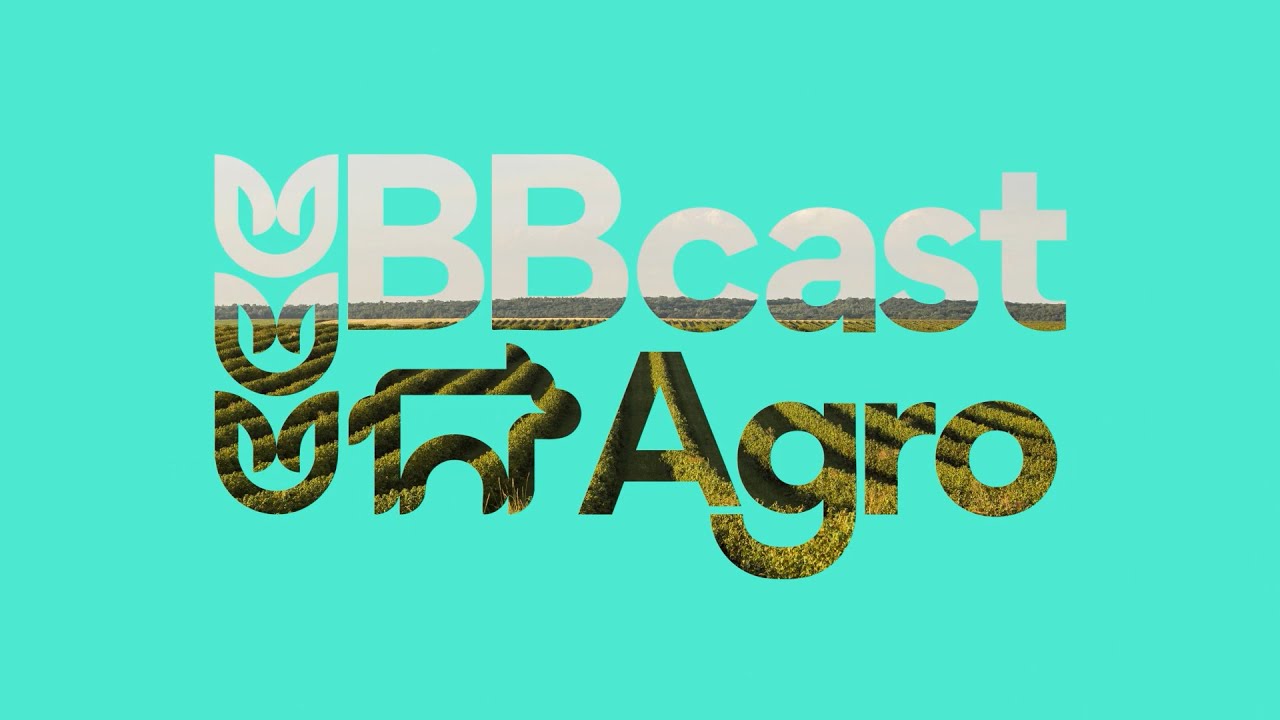 BB Cast Agro - Cenários Agro - 02/06/2025